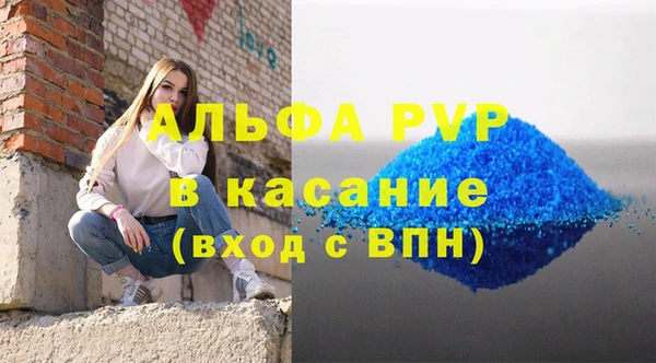 гашик Арсеньев