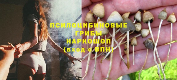 таблы Аркадак