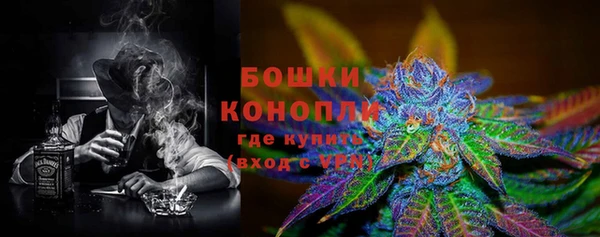 гашик Арсеньев