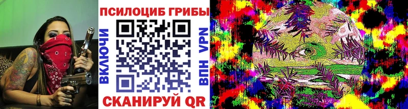 закладка  blacksprut как зайти  Псилоцибиновые грибы MAGIC MUSHROOMS  Никольск 
