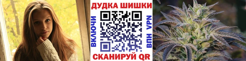 где купить   Никольск  мега ссылки  Каннабис ГИДРОПОН 